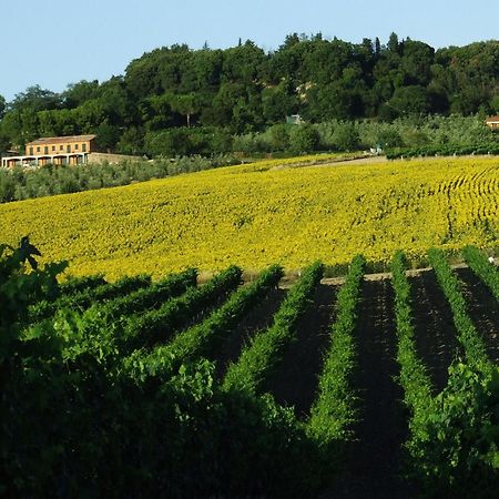 Bio Agriturismo Il Torrione Saturnia Ngoại thất bức ảnh