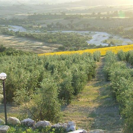 Bio Agriturismo Il Torrione Saturnia Ngoại thất bức ảnh