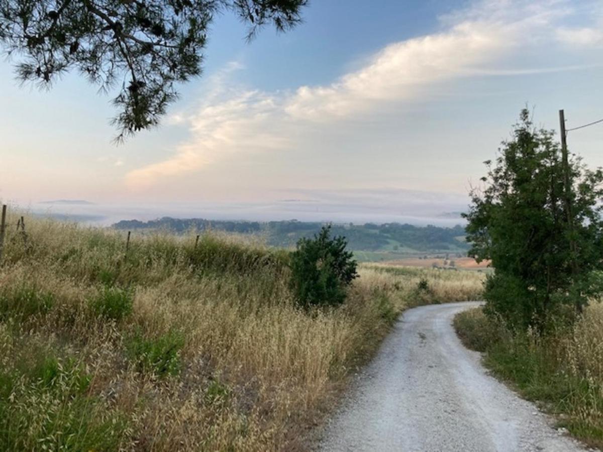 Bio Agriturismo Il Torrione Saturnia Ngoại thất bức ảnh