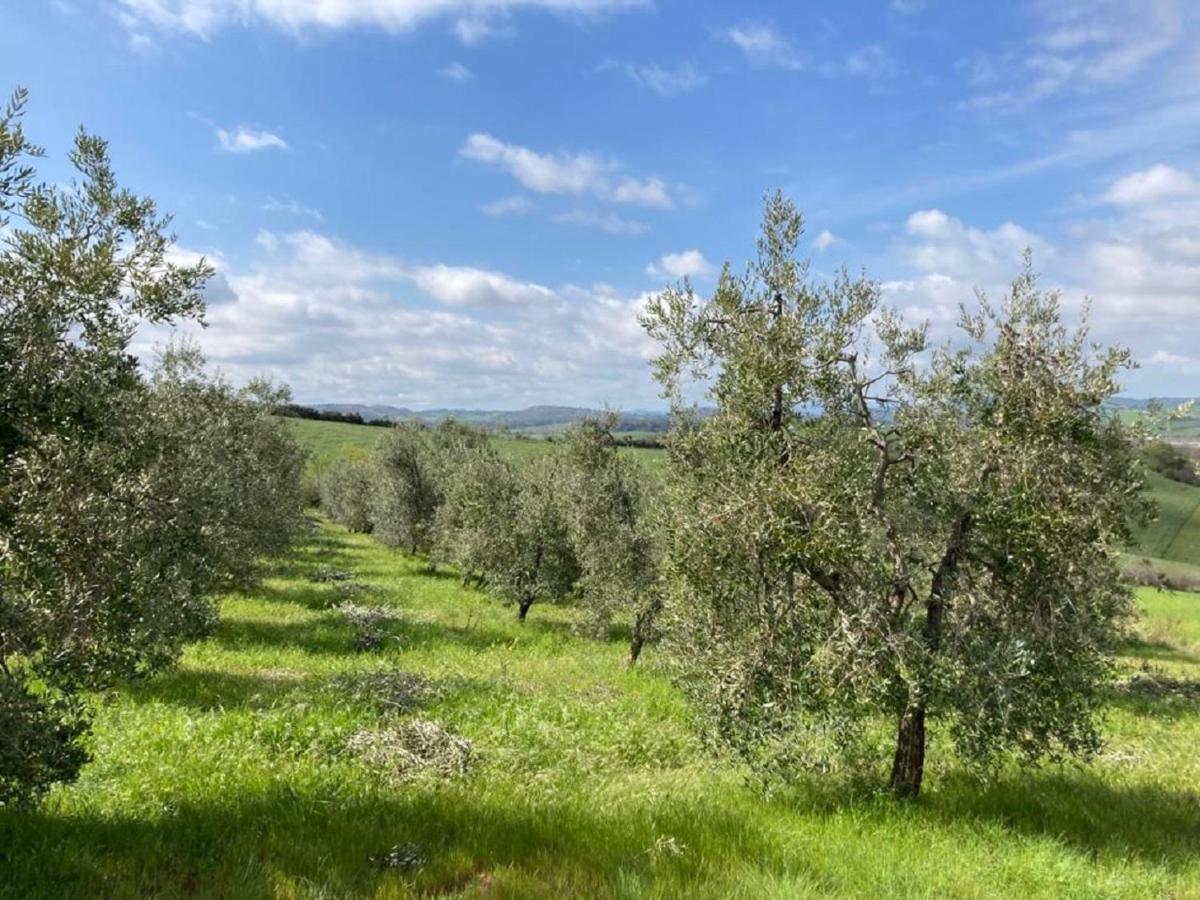 Bio Agriturismo Il Torrione Saturnia Ngoại thất bức ảnh