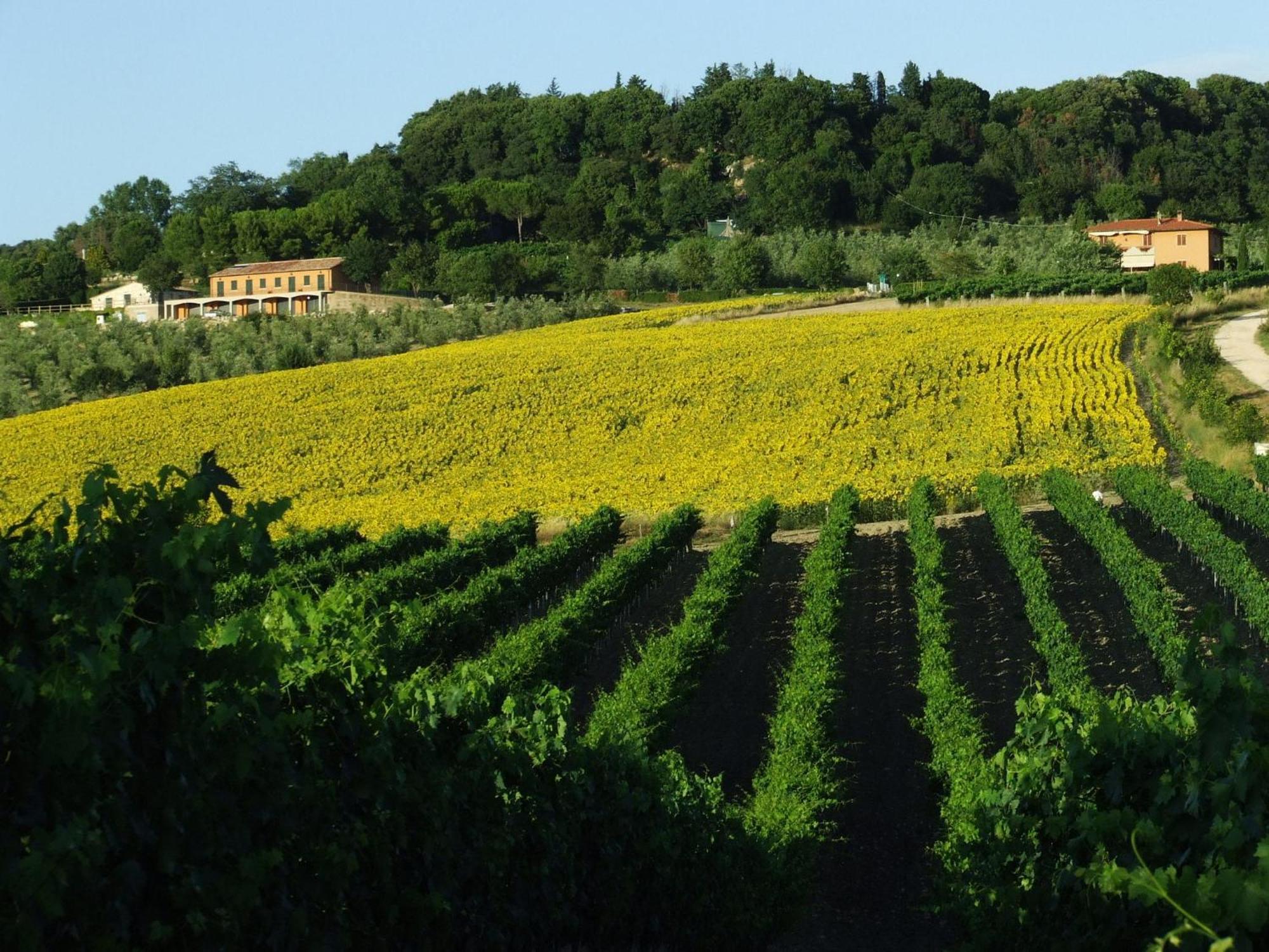 Bio Agriturismo Il Torrione Saturnia Ngoại thất bức ảnh