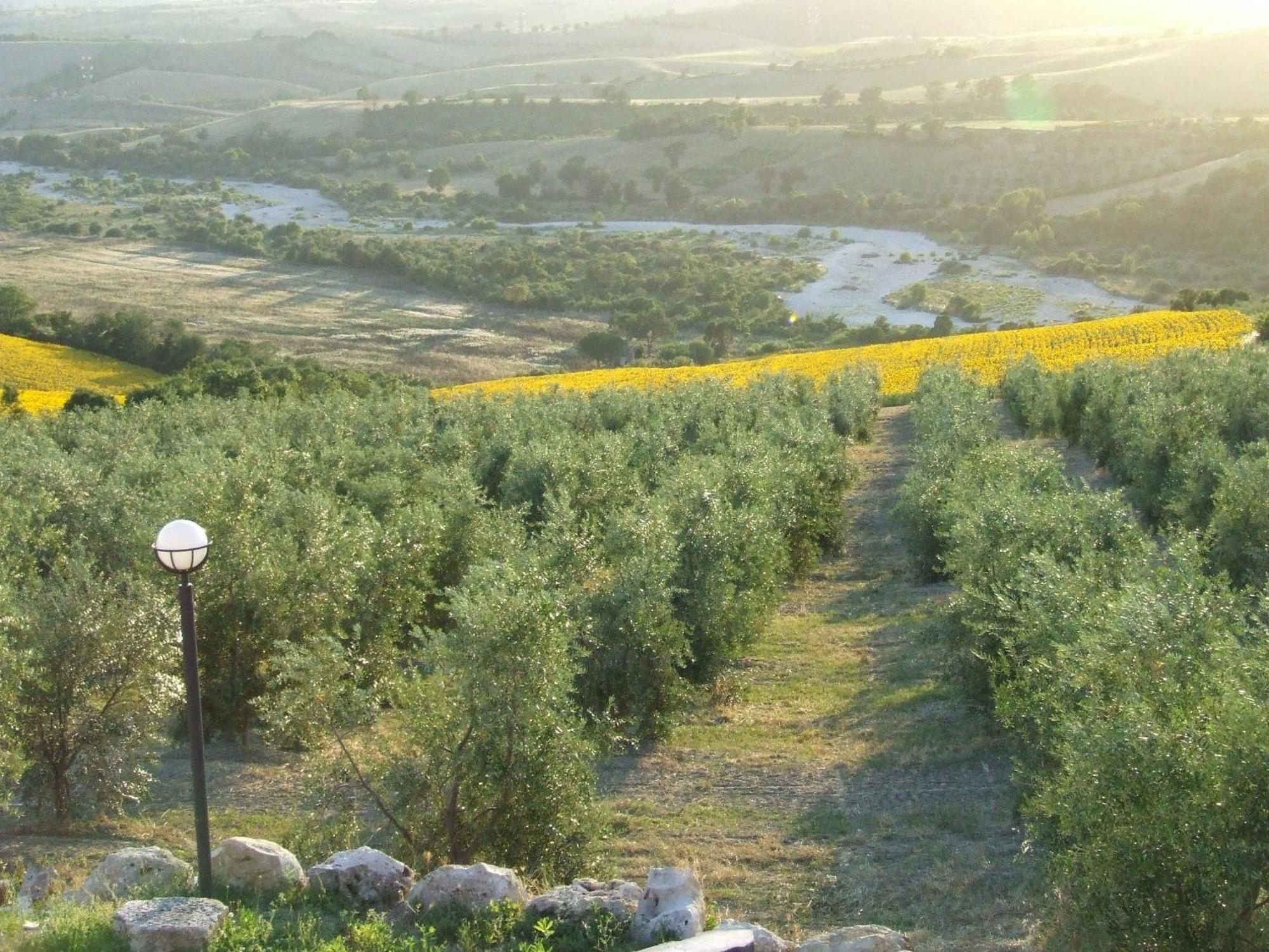 Bio Agriturismo Il Torrione Saturnia Ngoại thất bức ảnh