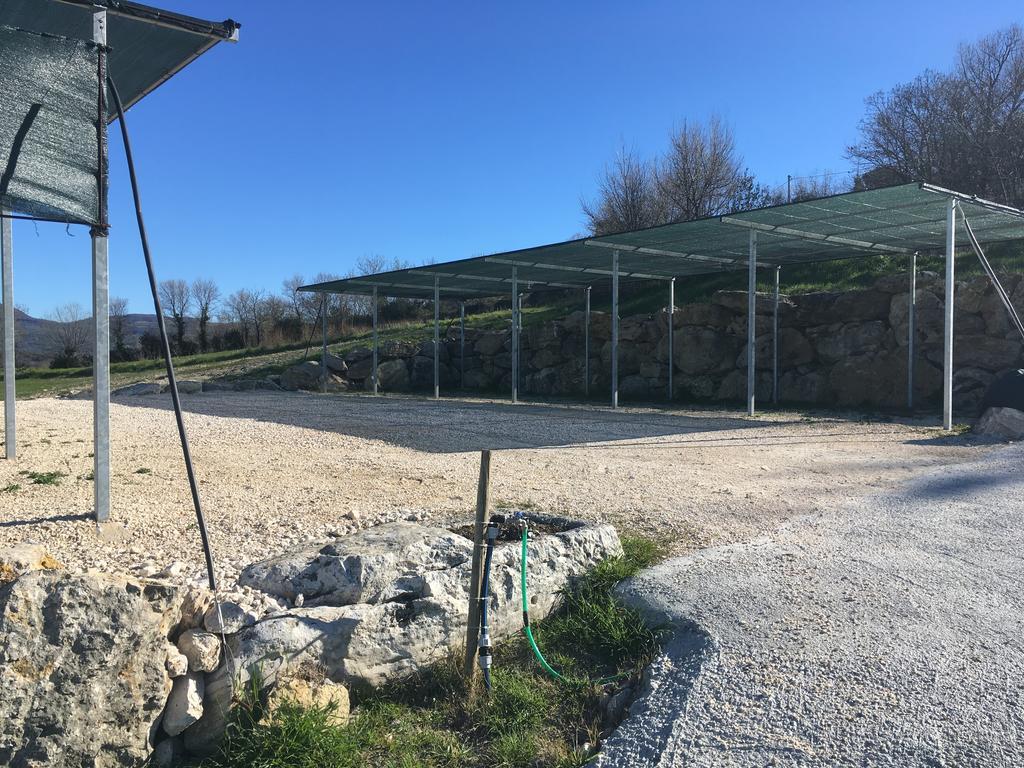 Bio Agriturismo Il Torrione Saturnia Ngoại thất bức ảnh
